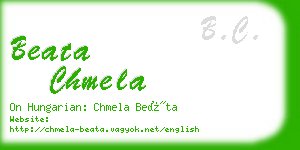 beata chmela business card